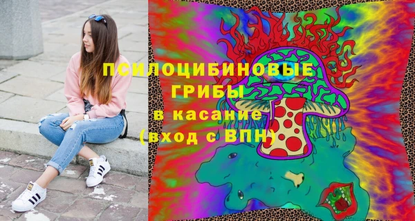 spice Верея