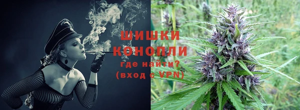 spice Верея