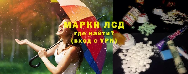 spice Верея